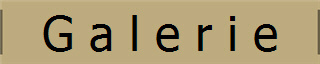 G a l e r i e